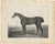 After Chalon, Equestrian Illustrations, Lithographs, 1840, Set of 4 For Sale - Image 10 of 12