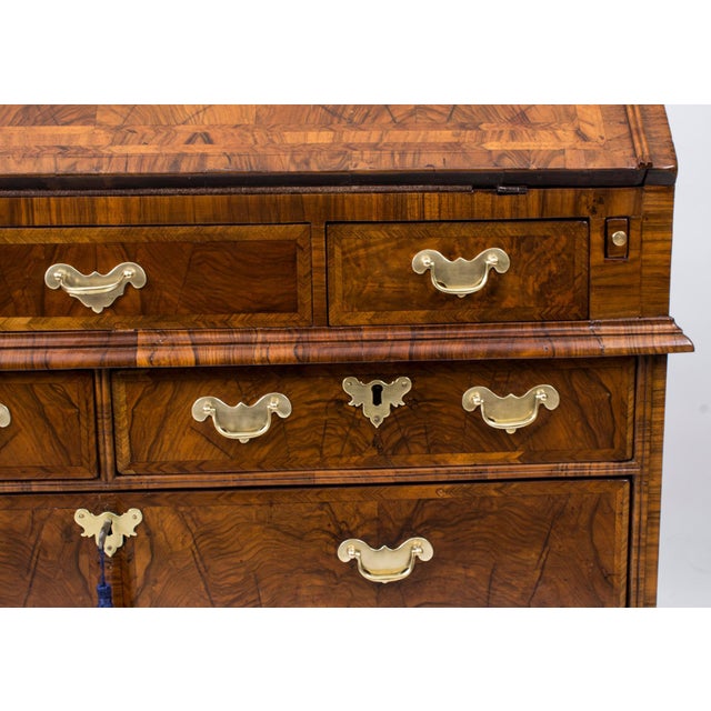 Brown Antique Queen Anne Double Dome Burr Walnut Bureau Bookcase, 18th Century For Sale - Image 8 of 18