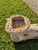 Unknown, Foot of Mercury, 18th Century, Greek Thassos Marble For Sale - Image 9 of 17