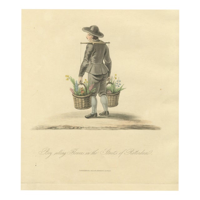 Miss Semple, Boy Selling Flowers in Rotterdam, Daffodil Baskets, 1817, Engraving For Sale