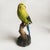 Pair of Resin Parakeet Figurines – 6.1" Realistic Bird Sculptures on Branches For Sale - Image 12 of 16