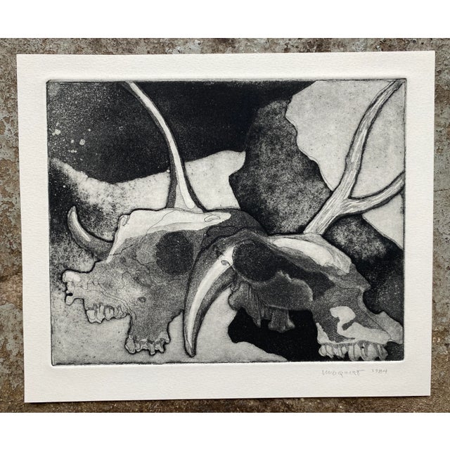 1984 skull still-life by Lundquist. Pencil signed and dated Lindquist.