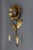 Mid-Century Modern Brass and Metal Flower-Shaped Twin Arm Sconce, France, 1950s For Sale - Image 6 of 18