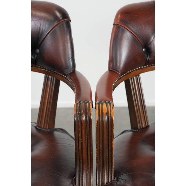 Chesterfield Dining Chairs in Cowhide, Set of 4 For Sale - Image 13 of 18
