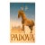 Padova by Barbi-Benvignati 1949 Rare Italian Enit Poster Wooden Trojan Horse For Sale