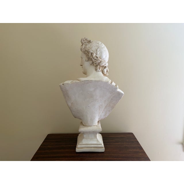 Late 20th Century Large Neoclassical Plaster Bust of Apollo Belvedere For Sale - Image 10 of 12