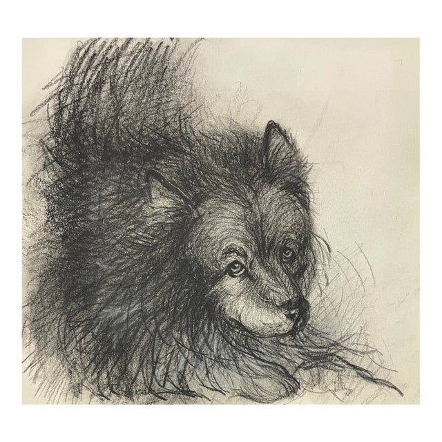 1970s Dog Portrait Drawing For Sale