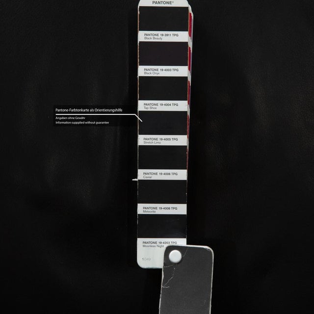 Animal Skin Chairs in Black Leather from Werther, Set of 6 For Sale - Image 7 of 12