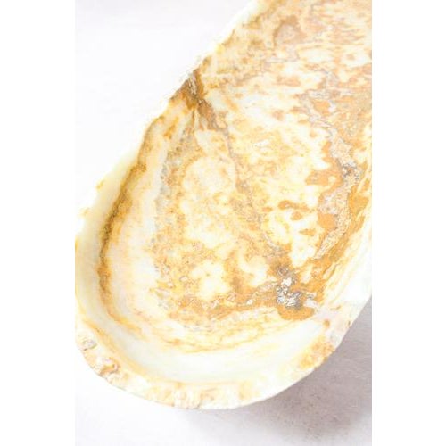 Premium Onyx Bowl with Raw Edge For Sale - Image 4 of 5