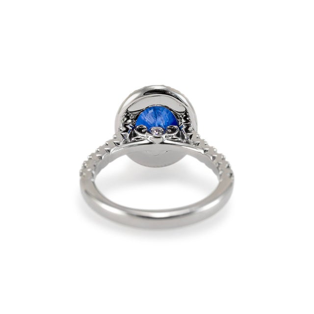 14k White Gold Agl Ceylon 3.54ct Oval Sapphire Halo Diamond Cocktail Ring, Size 6 For Sale In Houston - Image 6 of 9