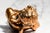 Gold Heavy Classical Figurine Vintage Solid Metal Cherub Putti With Bird Sculpture Paperweight Home Decor Art For Sale - Image 8 of 13
