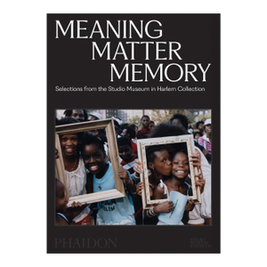 Meaning Matter Memory Selections From the Studio Museum in Harlem Collection