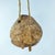 African Early 20th Century Crotal Cow Bell Chad Sieber Collection For Sale - Image 3 of 6