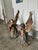 Religious Large Late 20th Century Continental Hand Carved Wood Angels - a Pair For Sale - Image 3 of 11