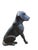 Early 20th Century Pair of Early 20th Century Labrador Andirons For Sale - Image 5 of 10