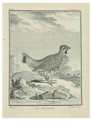 Louis Legrand, La Gelinote, Etching, 1771