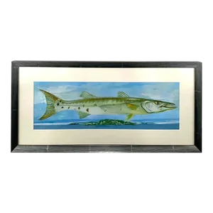 Barracuda Rising Print , Framed and Signed
