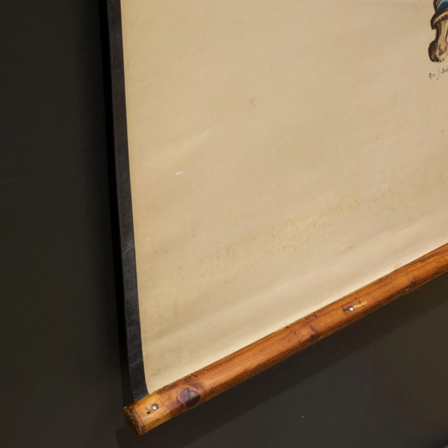 Tan Antique Medical Class Anatomy Scroll of Foot C.1920-1940 For Sale - Image 8 of 8