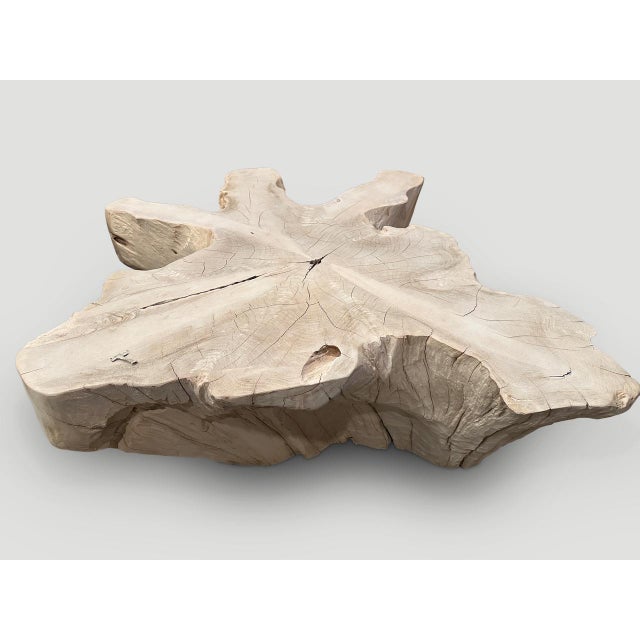 Andrianna Shamaris Amorphous Bleached Teak Wood Coffee Table For Sale - Image 16 of 18