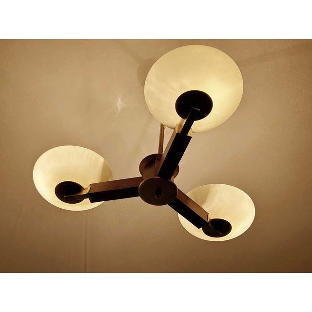 Art Deco Wood and Glass Pendant Light, 1930s For Sale - Image 6 of 18