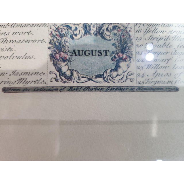 Mediterranean Peter Casteels Botanical Reproduction Prints - A Pair For Sale - Image 3 of 9