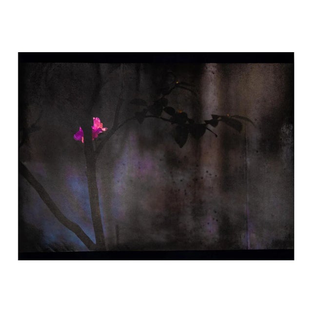 Kensho 2709, 2019-20 For Sale - Image 3 of 5