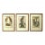 Set of 3 Alexander Wilson Owl Bird Engravings Framed 19th C. Antique For Sale
