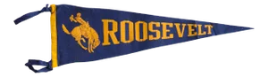 Vintage Roosevelt Felt Flag