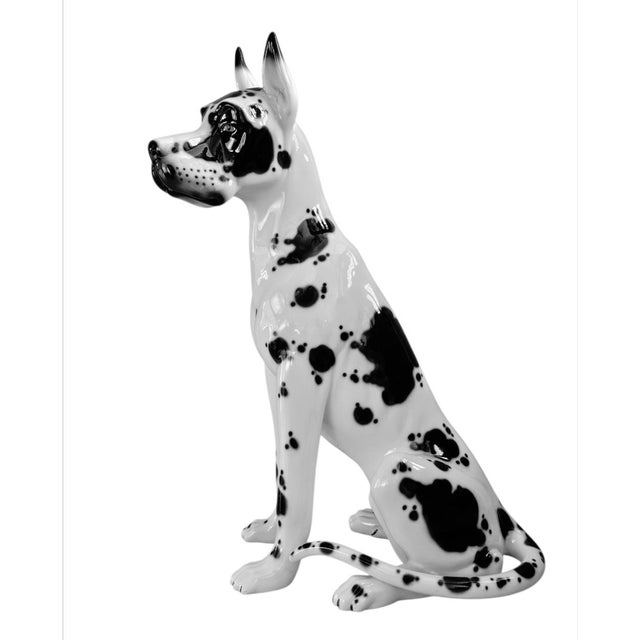 Fantastic life-like and life-size Great Dane ceramic by Hispania, which was owned by Lladro. Hand-painted sculpture is in...