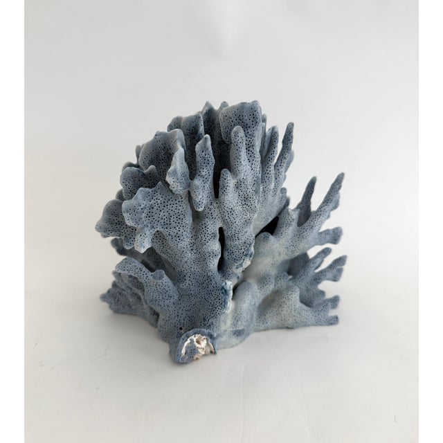 1990s Natural Blue Coral Specimen Coastal Decor For Sale - Image 5 of 7