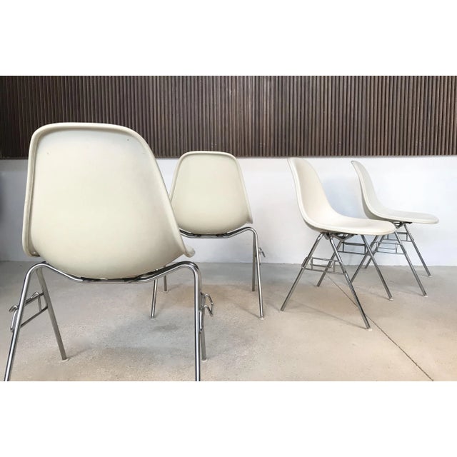 DSS Chairs by Charles & Ray Eames for Herman Miller, 1950s, Set of 4 For Sale - Image 16 of 18