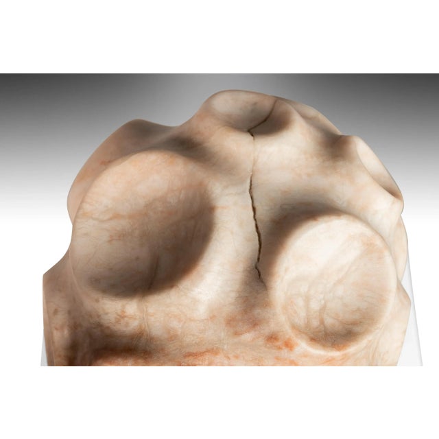 Modern Abstract Sculpture in Solid Alabaster 'Tenticle' by Mark Leblanc, 1/8 For Sale - Image 12 of 13