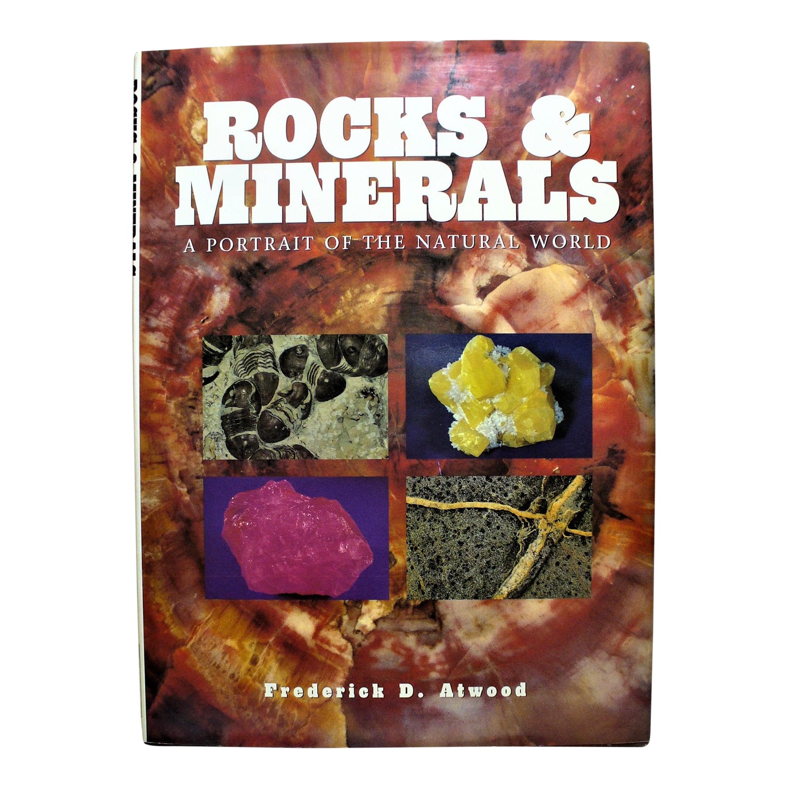 Rocks &amp; Minerals a Portrait of the Natural World, Illustrated, Nice ...