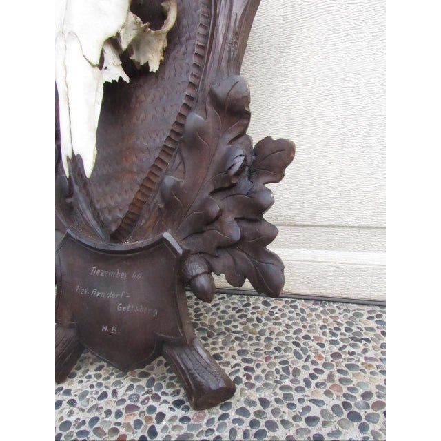 Vintage Black Forest Mounted Deer Antlers For Sale - Image 14 of 16