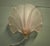 1980s Art Deco French Pink Glass Shell Wall Lights, 1980, Set of 2 For Sale - Image 5 of 8