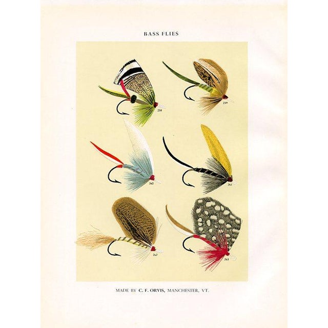 Original mid-century color lithograph print of Bass fishing flies. Based on the designs of the American sportsman Charles...