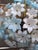 Large Brass Pendant Lamp with White and Blue Murano Glass Flowers For Sale - Image 6 of 9