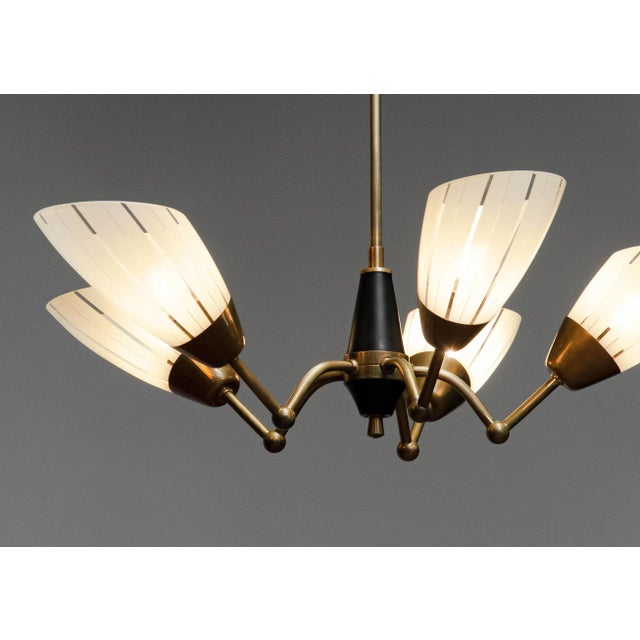 Mid-Century Modern German Brass and Black Five-Arm Sputnik Chandelier with Art Glass Shades, 1950s For Sale - Image 3 of 9