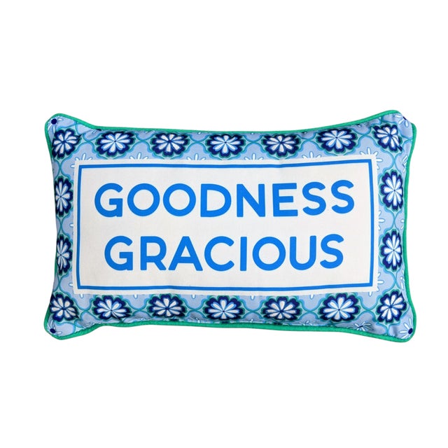 Goodness Gracious Indoor Outdoor Reversible Pillow For Sale - Image 9 of 9
