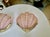 Pair Art Deco Shell Clam Shaped Pink Glass Brass Wall Sconce For Sale - Image 9 of 18