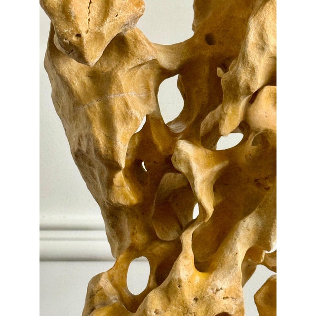 Extraordinary Large Chinese Scholar Rock Yellow Taihu Stone on Wood Stand For Sale - Image 14 of 18