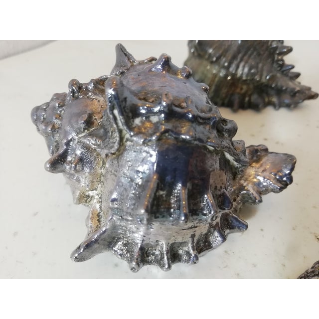 Silver-Plated Shells by Federico Buccellati, Italy, 1940s, Set of 4 For Sale - Image 7 of 13