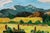 Mid 20th Century Nancy Coe Mt. Rose Landscape by Nancy Patricia Coe Circa 1968 For Sale - Image 5 of 7