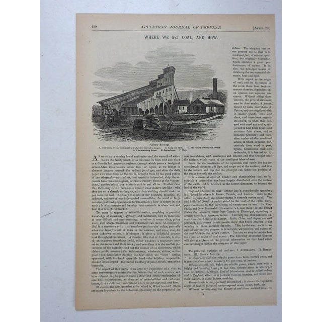 Late 19th Century 1870 Periodical Engraving Hunter on Arabian Horse For Sale - Image 5 of 5