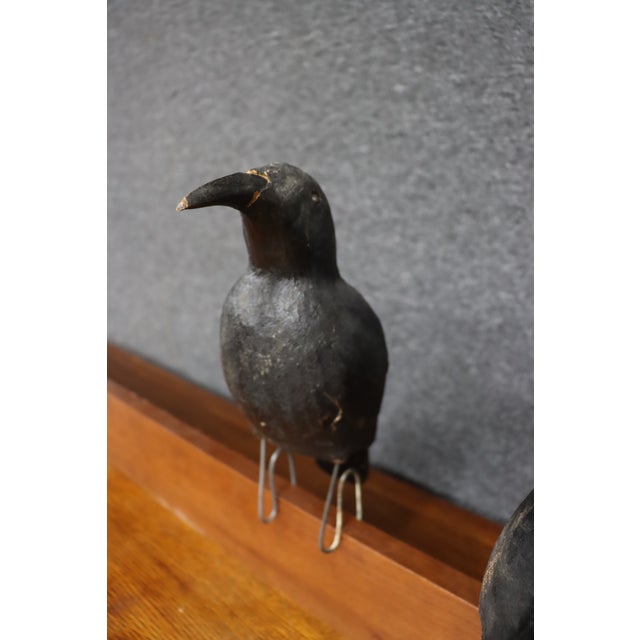 Folk Art Folk Art Crow Decoys – Set of Three For Sale - Image 3 of 18