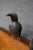 Folk Art Folk Art Crow Decoys – Set of Three For Sale - Image 3 of 18