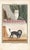 1758 Buffon Dog Engraving "Le Bichon" and "Le Chien Lion" (Bichon and Lion Dog-Lowchen) For Sale