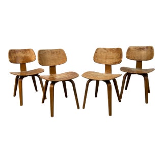 Mid 20th Century Set of Four Elegant Bentwood Chairs by Bruno Weil for Thonet For Sale