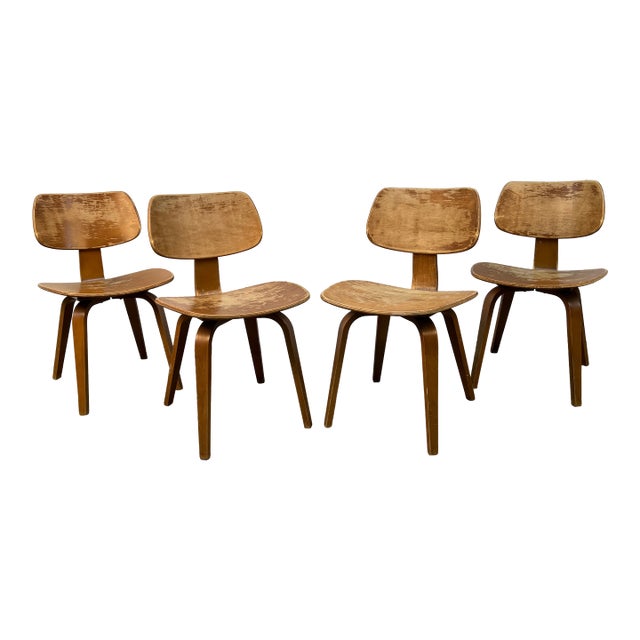 Mid 20th Century Set of Four Elegant Bentwood Chairs by Bruno Weil for Thonet For Sale