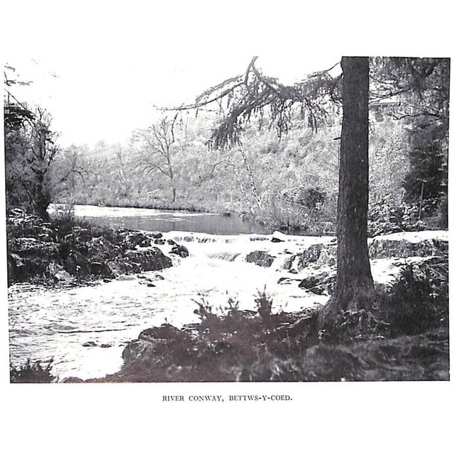 "Where to Catch Salmon and Trout" 1937 Alfieri, Bernard & Menzies, W.J. For Sale - Image 12 of 12